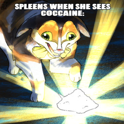 all_fours bell bow_tie calico_pattern cocaine dripping drugs ears_down exotropia female feral light light_beam looking_down open_mouth pivoted_ears smile snout solo text tongue valken_holmes spleens_(graystillplays) calico_cat domestic_cat felid feline felis mammal dated hi_res meme watermark