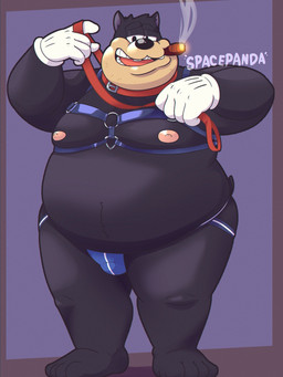 4_toes anthro barefoot belly big_belly black_body black_nose cigar clothing collar feet harness jockstrap leash male nipples overweight overweight_male plantigrade simple_background smoking smoking_cigar solo standing toes underwear spacepanda disney pete_(disney) felid feline mammal 2026 3:4 hi_res