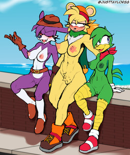 anthro areola beanie belt blotchy_areola blush blush_lines boots chest_tuft clothing crossgender female footwear freckled_face freckles genitals gloves group handwear hat headgear headwear kerchief mtf_crossgender nipples outside plump_labia pubes public public_nudity scarf shoes socks trio tuft vulva justtaylor sega sonic_the_hedgehog_(series) bark_the_polar_bear bean_the_dynamite fang_the_hunter avian bear dipodid jerboa mammal polar_bear rodent ursine hi_res