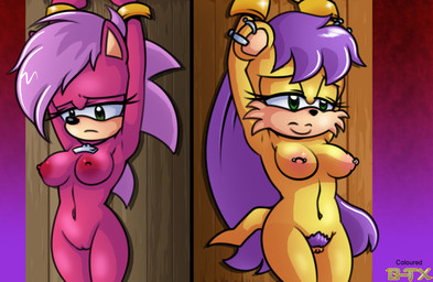 anthro areola arms_above_head arms_tied barbell_piercing bound breasts duo ear_piercing eyelashes female fur genitals hair long_eyelashes nipple_piercing nipples nude nude_female piercing pink_body pink_fur pubes purple_hair submissive submissive_anthro submissive_female tail tuft vulva yellow_body yellow_fur bladetigerx hyoumaru archie_comics sega sonic_the_hedgehog_(archie) sonic_the_hedgehog_(comics) sonic_the_hedgehog_(series) sonic_underground mina_mongoose sonia_the_hedgehog eulipotyphlan hedgehog herpestid mammal mongoose hi_res