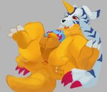 animal_skin anthro anus balls belly claws flaccid fur genitals horn male penis perineum red_eyes short_male slightly_chubby solo spread_anus spread_legs spreading striped_body striped_fur stripes yellow_body xyder bandai_namco digimon digimon_(species) gabumon