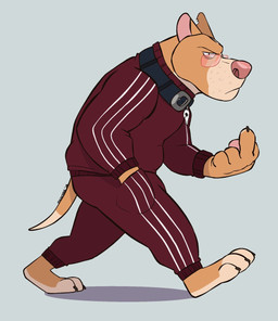 anthro barefoot biceps black_collar blue_background bottomwear claws clothing collar collar_tag eyewear feet flipping_viewer_off frown frowning_at_viewer fur gesture glasses grumpy hand_gesture hand_in_pocket jacket looking_at_viewer male manly middle_finger moody muscular muscular_anthro muscular_male orange_body orange_fur pants pink_eyewear pink_glasses pink_nose pinstripe_bottomwear pinstripe_clothing pinstripe_topwear pinstripes pockets red_bottomwear red_clothing red_jacket red_pants red_topwear red_tracksuit shadow side_eye simple_background skull_collar skull_collar_tag slouching solo tail thick_arms topwear tough_guy tracksuit wearing_glasses syncrotrace archie_(syncrotrace) canid canine canis domestic_dog mammal pit_bull hi_res