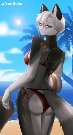 anthro ball beach beach_ball bikini clothing female inflatable pose sand seaside solo sunny swimwear two-piece_swimsuit yue0sha felid feline hybrid lemur mammal primate strepsirrhine absurd_res hi_res pinup