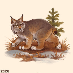 black_tail_tip bobtail dipstick_tail evergreen_tree feral fluffy fluffy_face fur grass grey_body grey_fur markings multicolored_body multicolored_fur paws pine_tree plant quadruped red_nose small_tail snow solo tail tail_markings tan_body tan_fur tree whisker_spots yellow_eyes alexpahomov canada_lynx felid feline lynx mammal 1:1 2026 digital_media_(artwork) digital_painting_(artwork) painting_(artwork)