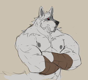 abs anthro barazoku biceps black_sclera chest_tuft crossed_arms fur grey_body grey_fur looking_aside male muscular muscular_anthro muscular_male nipples pecs pose red_eyes simple_background solo tail tan_background triceps tuft wraps wrist_wraps reznozada dreamworks puss_in_boots_(franchise) death_(puss_in_boots) canid canine canis mammal wolf 2026 half-length_portrait hi_res pinup portrait sketch