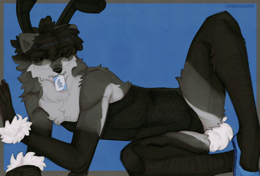 afro anthro biting_object black_body black_eyes black_fur black_hair bodily_fluids body_hair bunny_costume card card_in_mouth clothed clothing costume cotton_tail crossdressing eyewear facial_hair fake_ears fake_rabbit_ears fake_tail femboy fluffy_cuffs footwear fur glasses grey_body grey_fur hair high_heels leg_hair male shoes solo spread_legs spreading sweat uno_card cerberussenn ceej_(cerberussenn) mammal procyonid raccoon absurd_res hi_res huge_filesize signature