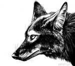 2015 ambiguous_gender blackteagan canid canine canis coyote feral greyscale mammal monochrome simple_background sketch solo white_background