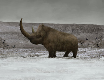 big_horn brown_body brown_fur feral flock_of_birds fur grass grey_sky hill horn huge_horn plant quadruped side_view sky small_horn snow solo tundra mihin89 ambient_bird mammal prehistoric_species rhinoceros woolly_rhinoceros 2023