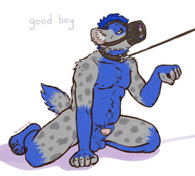 animal_genitalia anthro balls collar ear_piercing fur genitals half-erect leash male muzzle_(object) muzzled nude penis piercing sheath solo submissive text chewycuticle hyena mammal spotted_hyena 2014 digital_media_(artwork) english_text