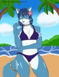 anthro beach breasts clothing female fur hair looking_at_viewer palm_tree plant seaside smile solo tree water travis_mayer nintendo star_fox krystal_(star_fox) canid canine fox mammal absurd_res hi_res