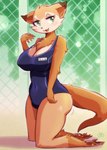 anthro big_breasts breasts cleavage clothed clothing female female_anthro fur hi_res japanese_text kneeling mammal melonleaf multicolored_body multicolored_fur mustelid nipple_outline one-piece_swimsuit solo swimwear text translated