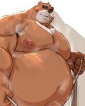 2022 absurd_res anthro bear belly big_belly big_moobs black_nose blush bodily_fluids halloween hi_res holidays jack-o'-lantern kemono kotobuki male mammal moobs musk nipples obese obese_male overweight overweight_male solo sweat