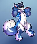 after_transformation anthro atlas inflatable male pool_toy smile solo transformation zipzap animate_inanimate canid canine fox living_inflatable mammal hi_res