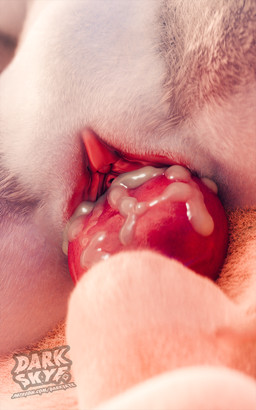 animal_genitalia animal_penis anthro anthro_penetrated balls bodily_fluids canine_genitalia canine_penis clitoral_hood clitoris close-up cum cum_inside duo erection female female_penetrated fur genital_fluids genitals grey_body grey_fur knot knotting leaking_cum male male/female male_penetrating male_penetrating_female nude orange_body orange_fur penetration penile penile_penetration penis penis_in_vagina sex urethra vaginal vaginal_penetration vulva white_body white_fur darkskye_(artist) chrno3d_(modeler) pochemu_(modeler) disney zootopia judy_hopps nick_wilde canid canine european_rabbit fox lagomorph leporid mammal oryctolagus rabbit red_fox true_fox 3d_(artwork) blender_(artwork) digital_media_(artwork) hi_res