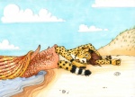 anthro beach cone duo feral male outside paralyzing seaside solo_focus spots swallowing tail vore taen kibacheetah aquatic_gastropod cheetah cone_snail felid feline gastropod mammal marine mollusk sea_snail snail 2011 traditional_media_(artwork)