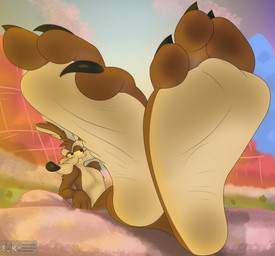 3_toes anthro arched_soles belly black_nails brown_body brown_fur claws colored_nails countershade_feet countershading curling_toes desert eyebrows feet foot_fetish foot_focus fur humanoid_feet humanoid_heel male nails nude pecs plantigrade sitting soles solo tan_belly tan_body tan_eyebrows tan_fur tan_soles teasing teasing_viewer teasing_with_feet toe_claws toes two_tone_feet wrinkled_feet wrinkles skonczonyidiota looney_tunes warner_brothers wile_e._coyote canid canine canis coyote mammal hi_res