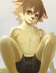 2015 anthro archived_source arm_support bottomwear brown_eyes brown_hair brown_nose canid canine cheek_tuft clothed clothing ears_down facial_tuft front_view hair kiske_7key looking_at_viewer male mammal navel nipples pivoted_ears shorts simple_background sitting slim smile solo spandex spandex_shorts tight_bottomwear tight_clothing tight_shorts topless tuft white_background young young_anthro