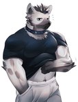 anthro bottomwear clothing collar eyebrow_piercing facial_piercing fur grey_body grey_fur hair looking_at_viewer male markings muscular muscular_anthro muscular_male pants piercing shirt simple_background solo spots spotted_body spotted_fur topwear adkt arknights hypergryph studio_montagne spot_(arknights) hyena mammal spotted_hyena 2024 absurd_res hi_res