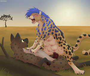 animal_genitalia blue_hair blue_spots breasts brown_body brown_fur claws cowgirl_position duo eyes_closed fangs female female/female female_penetrated female_penetrating female_penetrating_female feral feral_on_feral feral_penetrated feral_penetrating feral_penetrating_feral feral_with_hair from_front_position fur genitals hair markings multi_breast on_bottom on_top penetration pregnant pregnant_female pregnant_feral pseudo-penile_penetration pseudo-penis savanna sex spots spotted_body spotted_fur teeth vaginal vaginal_penetration digitoxici bluebonnet cheetah felid feline hyena mammal spotted_hyena hi_res