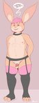 anthro balls chastity_cage chastity_device clothing collar femboy garter_belt garter_straps genitals hair lingerie male micropenis nipples penis pink_chastity_cage simple_background small_penis solo submissive submissive_male text brownieclop tinval lagomorph leporid mammal rabbit absurd_res digital_media_(artwork) english_text hi_res