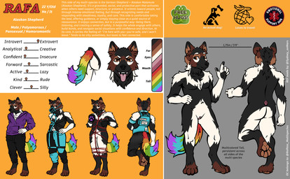 andromorph andromorph_anthro anthro bdsm biped bondage bound clitoris clothed clothing digitigrade feet genitals harness hindpaw humanoid_genitalia humanoid_vulva intersex intersex_anthro multicolored_tail natural_colors nude pawpads paws smile solo standing tail text vulva sydney_onmars canid canine canis domestic_dog mammal absurd_res english_text hi_res model_sheet