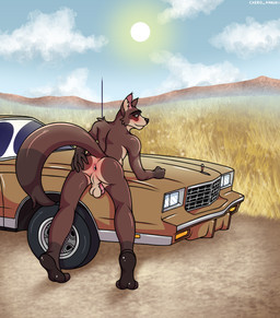 anthro anus backsack balls bent_over blush butt car cloud day detailed_background field genitals hand_on_butt inviting looking_at_viewer looking_back male nature nature_background on_car on_hood outside pawpads paws penis pose presenting presenting_anus presenting_hindquarters solo spread_butt spreading sun tail tail_aside vehicle cxeroannuki domestic_cat felid feline felis hybrid mammal procyonid raccoon 2026 absurd_res hi_res pinup