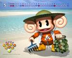 anthro beach calendar calendar_graphic male seaside solo unknown_artist sega super_monkey_ball aiai haplorhine mammal monkey primate 5:4 official_art