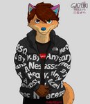 anthro clothing male pose solo stare gazuki dragon_ball drip_(meme) goku_drip supreme canid canine canis coyote mammal meme shaded simple_shading