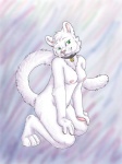 anthro bell breasts collar collar_only female fur nipples nude solo tail white_body white_fur purra domestic_cat felid feline felis mammal 2010