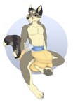 anthro big_diaper bodily_fluids clothed clothing diaper genital_fluids king male royalty solo thick_diaper unclean_diaper urine used_diaper wearing_diaper wet wet_diaper wetting wetting_diaper imply num8 canid canine canis cheetah cheewuff felid feline hybrid mammal wolf absurd_res hi_res