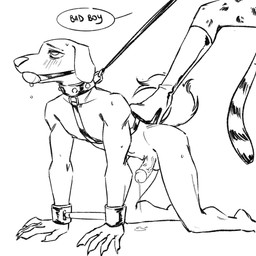 all_fours anthro ball_gag bdsm bodily_fluids boots clothing collar cuff_(restraint) drooling duo feet female floppy_ears foot_on_back footwear gag harness leash leash_pull male male/female petplay restraints roleplay saliva shoes spreader_bar submissive submissive_male sweat wrist_cuffs peteko third-party_edit beastars jack_(beastars) sheila_(beastars) bird_dog canid canine canis cheetah domestic_dog felid feline hunting_dog labrador mammal retriever 1:1 censor_removal_edit hi_res monochrome