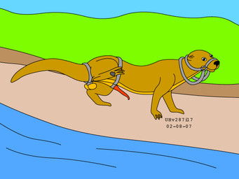animal_genitalia balls bdsm bondage bound brown_body brown_fur day erection feral fur genitals grass harness male nude nude_male otter_tail outside penis plant raised_leg river sheath shore sky solo tail toony urbanhermit mammal mustelid otter 2002 4:3 dated