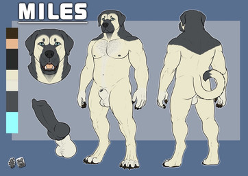animal_genitalia animal_penis anthro balls black_claws black_nose blue_eyes canine_genitalia canine_penis claws erection finger_claws front_view fully_sheathed fur genitals grey_body grey_fur grey_penis looking_at_viewer male male_anthro mouth_closed musclegut muscular muscular_anthro muscular_male nude open_mouth overweight overweight_anthro overweight_male pecs penis rear_view sheath simple_background solo standing tail toe_claws white_balls white_sheath yellow_body yellow_fur yellow_tail hufnaar canid canine canis domestic_dog mammal model_sheet