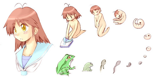 age_progression age_regression basic_sequence blush female feral fetus green_body growth hair horizontal_pupils human_to_feral linear_sequence looking_back multi_frame_sequence nude open_mouth ovum pupils shrinking simple_background sitting size_transformation solo species_transformation tail tail_growth transformation transformation_sequence white_background qkut amphibian frog human mammal 2011 digital_media_(artwork) sequence