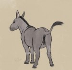 anatomically_correct anatomically_correct_genitalia anus female feral genitals grey_body hooves looking_at_viewer looking_back pussy simple_background solo tail p.v.su asinus donkey equid equine mammal hi_res sketch