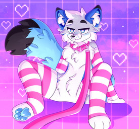 anthro arm_support armwear black_eyebrows black_nose black_pawpads blue_eyes blush chest_tuft clothing collar dipstick_tail eyebrows femboy hair inner_ear_fluff leash leashed_collar male markings pattern_armwear pattern_clothing pawpads pink_collar pink_leash pupils short_hair snout solo spread_legs spreading striped_armwear striped_clothing striped_markings stripes tail tail_markings tuft white_pupils appliei canid canine mammal colored digital_drawing_(artwork) digital_media_(artwork) hi_res shaded