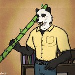 anthro biped male solo chazthewolf beastars gouhin_(beastars) bear giant_panda mammal 1:1