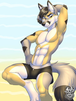 4_toes abs anthro armpit_hair barefoot big_tail biped black_body black_bottomwear black_clothing black_fur black_hair black_markings black_nose black_tail black_underwear body_hair bottomwear brown_eyes bulge cheek_tuft claws clothed clothing dipstick_tail ear_markings eyebrows facial_markings facial_tuft feet fluffy fluffy_tail front_view fur gradient_background grey_body grey_fur grey_tail hair head_markings inner_ear_fluff male markings multicolored_body multicolored_fur multicolored_tail on_one_leg pattern_background pecs raised_arm short_hair simple_background snout solo standing swimwear tail tail_markings tan_body tan_fur toes topless tuft two_tone_tail underwear white_body white_fur vallhound berlian canid canine fox mammal 2016 3:4 digital_media_(artwork) hi_res watermark
