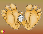 5_toes anthro feet foot_fetish foot_focus humanoid_feet looking_at_viewer male male_feet nude plantigrade simple_background sitting soles solo spread_toes toes yellow_body elricalde sega sonic_the_hedgehog_(series) miles_prower canid canine fox mammal hi_res