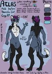 anthro black_body front_view grey_body hair heterochromia lgbt_pride male pride_colors purple_hair rear_view simple_background smile smiling_at_viewer solo text vincian_pride_colors sydney_onmars domestic_cat felid feline felis mammal absurd_res english_text hi_res model_sheet