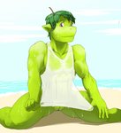 abs andromorph anthro apple athletic athletic_anthro athletic_male beach biceps bottomless clothed clothing detailed_background dripping food fruit genitals green_body green_skin intersex leaf leaf_hair looking_at_viewer male muscular muscular_thighs outside pecs plant plant_hair pseudo_hair purple_eyes pussy sand sea seaside shirt shirt_only smile solo stem topwear topwear_only translucent translucent_clothing tugging_clothing water water_drop wet wet_clothing wet_shirt wet_topwear geng mythology crispin_(geng) dragon elemental_creature flora_fauna food_creature fruit_dragon living_fruit mythological_creature mythological_scalie scalie 2016 colored digital_media_(artwork) hi_res shaded