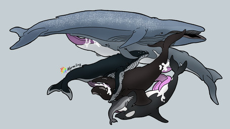anal anal_penetration animal_genitalia animal_penis black_body blowhole blue_body bodily_fluids cetacean_genitalia cetacean_penis cum cum_in_ass cum_in_mouth cum_inside dorsal_fin erection feral fin genital_fluids genitals grey_body group leaking_cum male male/male male_penetrated male_penetrating male_penetrating_male multicolored_body open_mouth oral oral_penetration penetration penile penis prehensile_penis sex simple_background size_difference tail tapering_penis two_tone_body white_body wyrmling_(artist) baleen_whale blue_whale bottlenose_dolphin cetacean dolphin fin_whale humpback_whale mammal marine marine_mammal oceanic_dolphin orca right_whale toothed_whale whale 16:9 digital_drawing_(artwork) digital_media_(artwork) hi_res signature widescreen