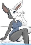 anthro blue_eyes breasts cleavage clothed clothing female front_view fur gesture multicolored_body multicolored_fur one-piece_swimsuit sitting smile solo split_color swimming_pool swimwear two_tone_body two_tone_fur water waving watergleam beastars mizuchi_(beastars) domestic_rabbit harlequin_rabbit lagomorph leporid mammal oryctolagus rabbit 2021 portrait three-quarter_portrait