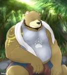 anthro beard belly big_belly black_nose bottomwear brown_body brown_fur clothing detailed_background facial_hair fur humanoid_hands kemono male outside overweight overweight_male plant scar shirt shorts sitting solo tattoo topwear towel tree mtflying30371 bear mammal 2017 hi_res