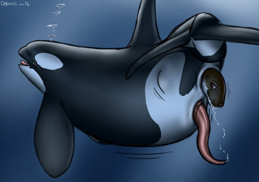 after_oral almost_fully_inside ambiguous_gender ambiguous_prey anal anal_head_gulp anal_penetration anal_vore anatomically_correct anatomically_correct_genitalia anatomically_correct_penis animal_genitalia animal_penis belly big_belly black_body black_skin bodily_fluids bubble cetacean_genitalia cetacean_penis cum duo erection feet_first feral feral_pred feral_prey fin flukes genital_fluids genital_slit genitals larger_male larger_pred looking_pleasured male male/ambiguous male_pred open_mouth partially_inside penetration penis size_difference smaller_male tapering_penis underwater vore water whiskers white_body white_skin year dolorcin aquatic cetacean dolphin leopard_seal mammal oceanic_dolphin orca pinniped seal toothed_whale 2016 signature
