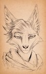 anthro blonde_hair fur hair looking_at_viewer solo yellow_body yellow_fur thewyvernsweaver last_fables brush_(here2express) lord_strike_(last_fables) canid canine canis corsac_fox fox mammal true_fox 2023 absurd_res hi_res