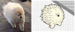 against_wind ambiguous_gender feral fluffy narrowed_eyes real solo squint toony walking wind keke_(artist) canid canine canis domestic_dog mammal pomeranian spitz animated digital_media_(artwork) flipnote_studio_(artwork) frame_by_frame pixel_(artwork) pixel_animation short_playtime