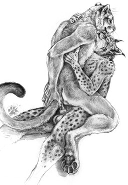 4_toes anal anal_penetration anthro balls digitigrade duo ear_tuft erection feet from_front_position fur genitals hindpaw male male/male male_on_bottom male_on_top male_penetrated male_penetrating male_penetrating_male mastery_position nude on_bottom on_top pawpads paws penetration penis sex simple_background sitting soles spots straddling tail toes tuft whiskers white_background blotch scratches_volume_6 cougar felid feline lynx mammal 2012 greyscale hi_res monochrome traditional_media_(artwork)