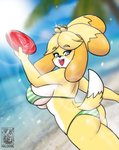 anthro beach big_breasts big_butt bikini blush breasts butt butt_cleavage clothed clothing female frisbee fur hair holding_object looking_back open_mouth outside palm_tree plant seaside solo swimwear teeth thick_thighs tongue tree two-piece_swimsuit wide_hips yellow_body yellow_fur halotroll animal_crossing nintendo isabelle_(animal_crossing) canid canine canis domestic_dog mammal shih_tzu toy_dog hi_res