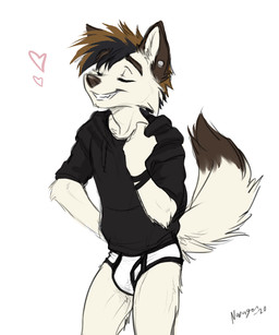 anthro black_clothing black_hoodie black_seam_briefs black_seam_underwear black_topwear briefs bulge clothing colored_seam_briefs colored_seam_underwear drawyourfursona fur hoodie hoodie/briefs_meme male smile solo standing topwear underwear white_body white_briefs white_clothing white_fur white_underwear naragon damien_mccoy canid canine canis mammal wolf 5:6 meme